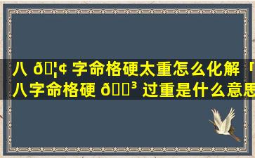 八 🦢 字命格硬太重怎么化解「八字命格硬 🌳 过重是什么意思」